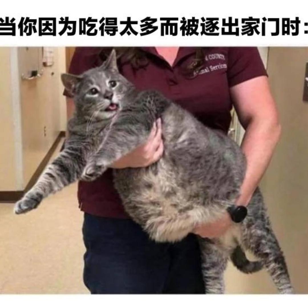 大吃三碗香菜