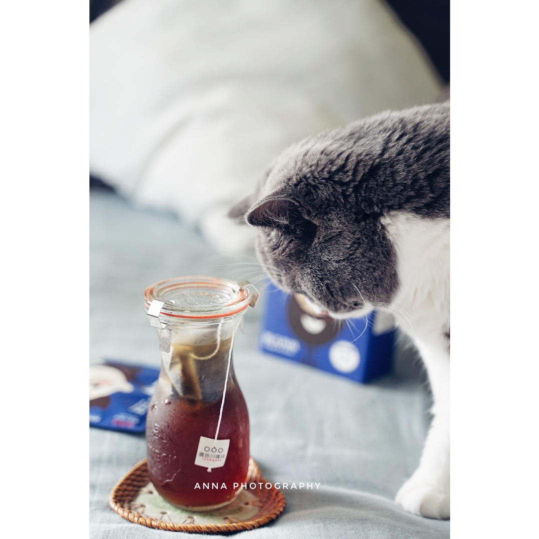 如何在家里倒腾一个一平米的咖啡吧