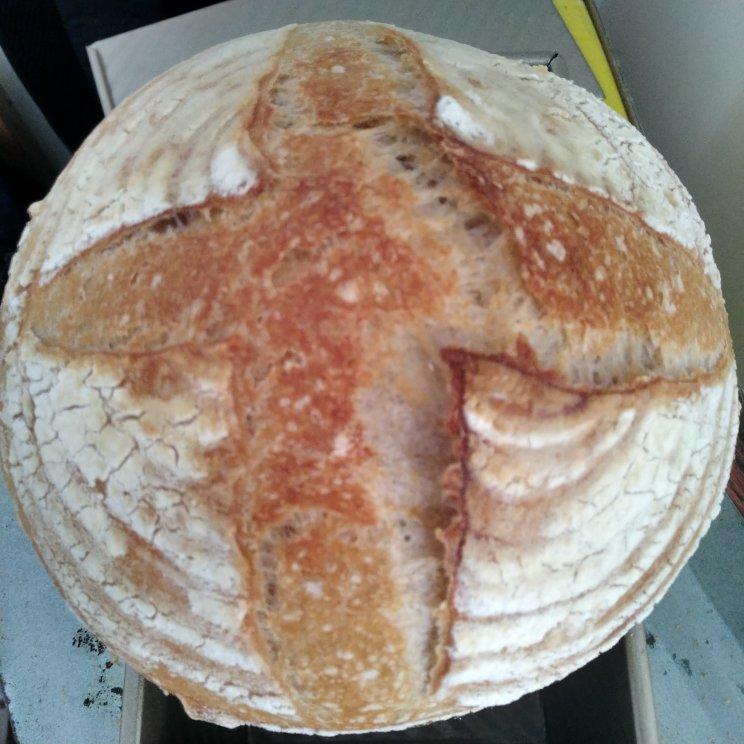 你的第一个免揉天然酵母欧包