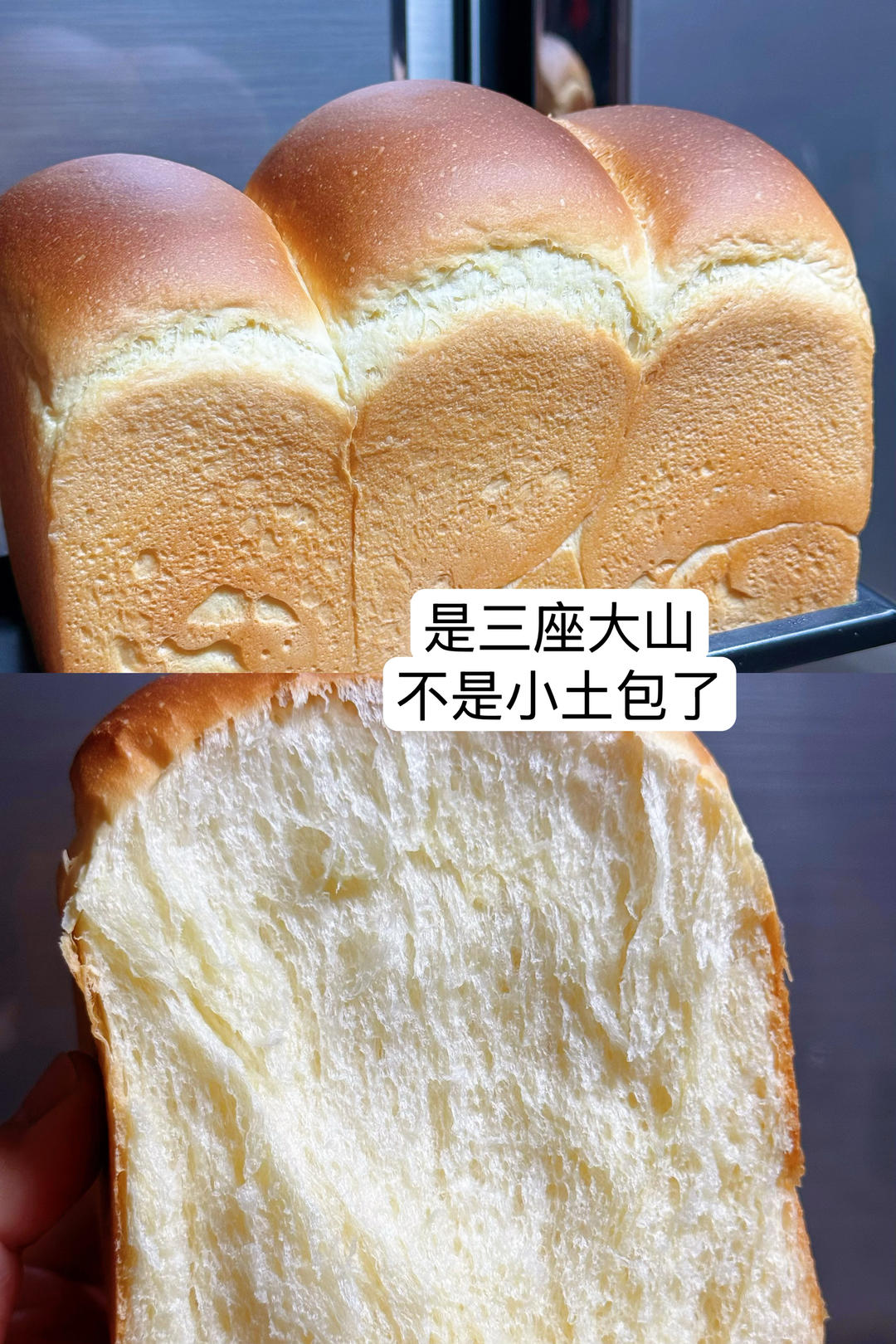 100%中种冷藏发酵