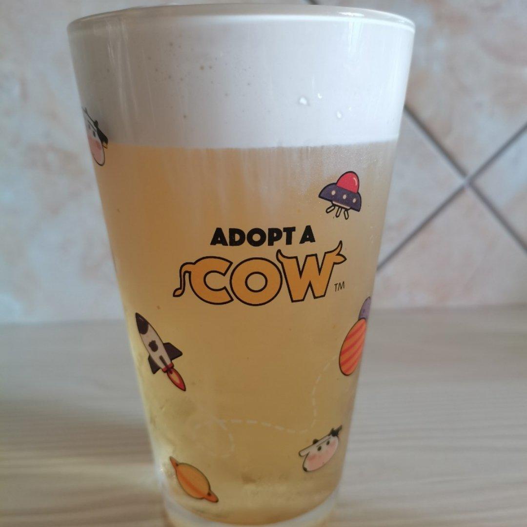 《Tinrry+》芝士奶盖茶