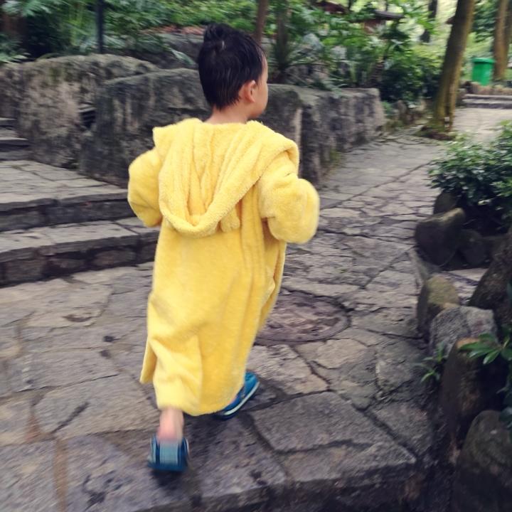 果与洋