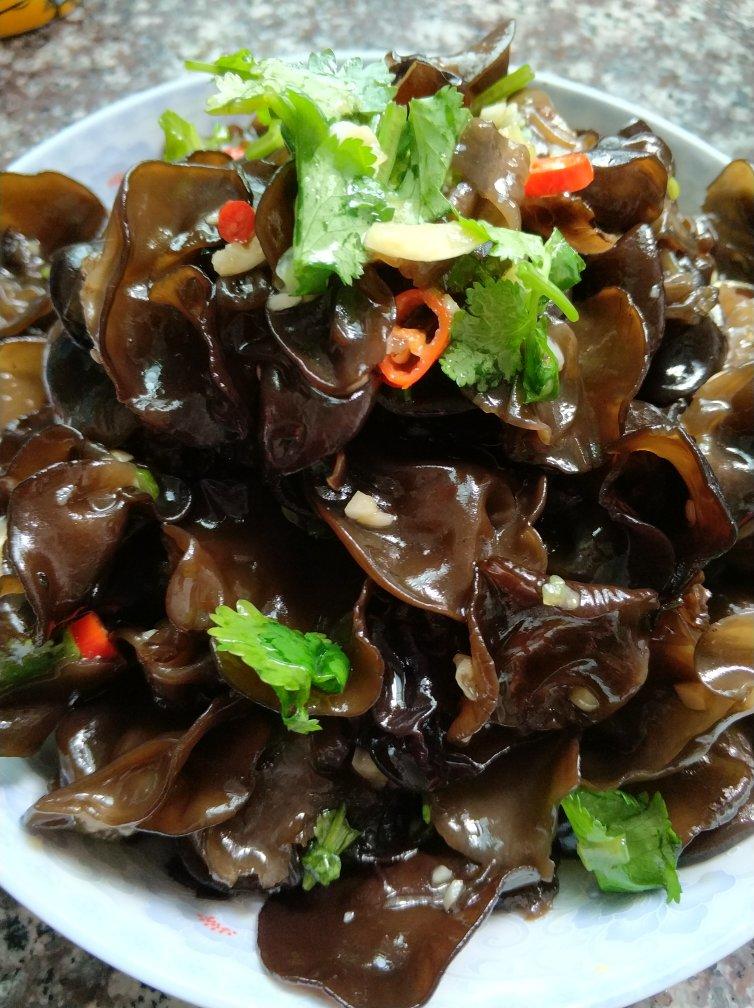 小葱19做的凉拌云耳