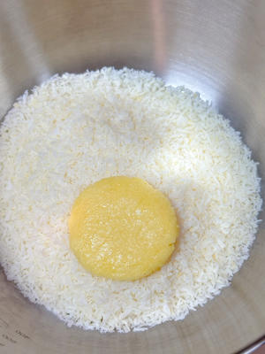 黄金椰蓉酥的做法 步骤10