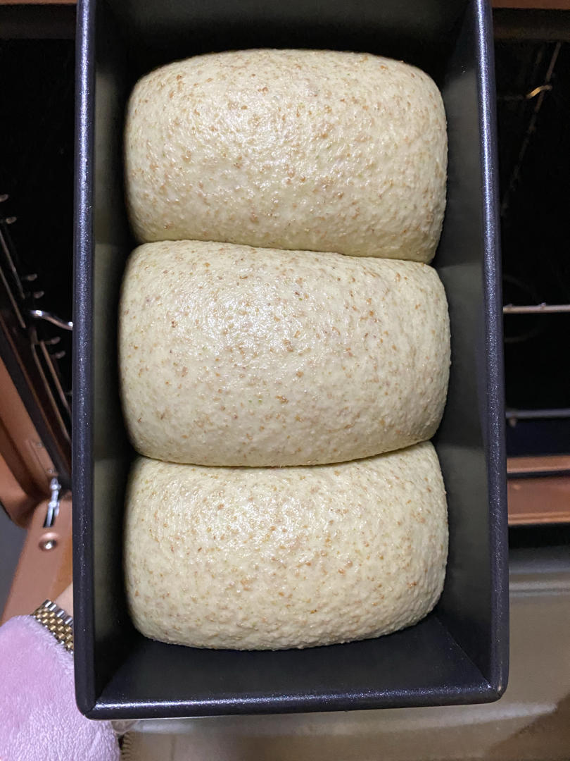 超柔软一发‼️奶香葡萄干手撕吐司『松软拉丝』