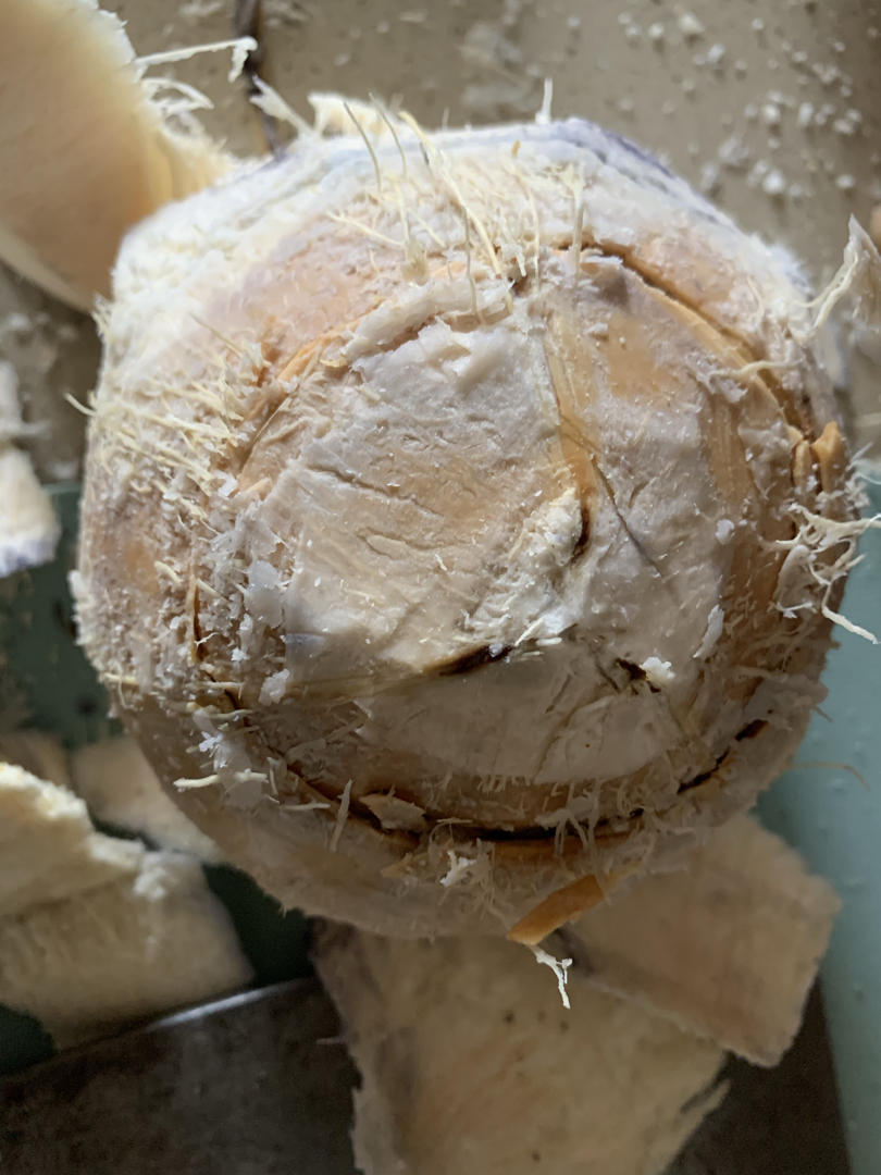 简单快手开椰子