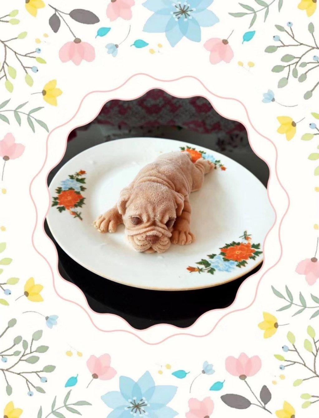 网红慕斯狗（琴姐）