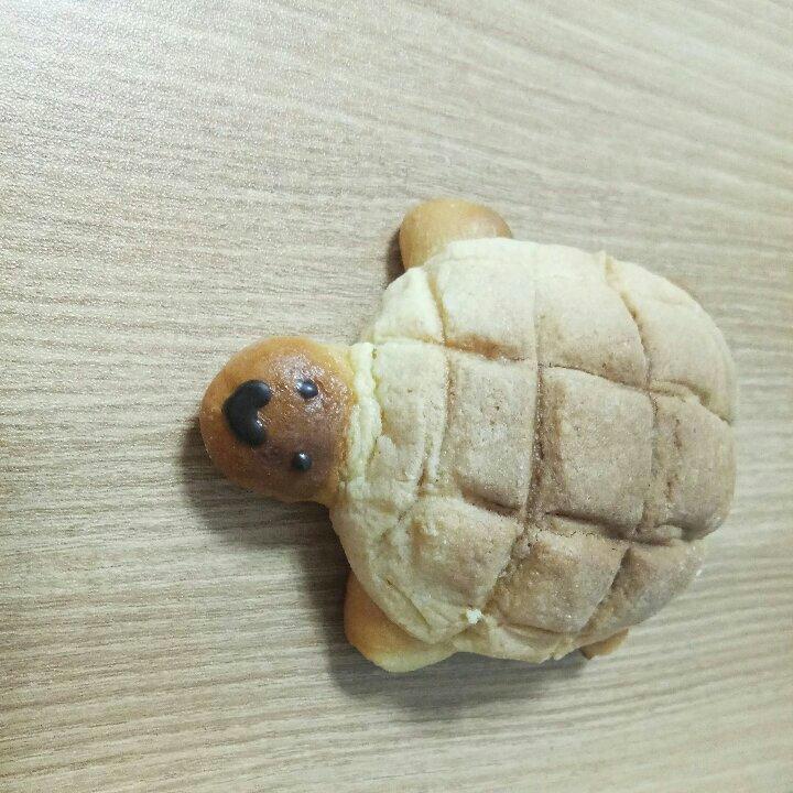 小乌龟菠萝包