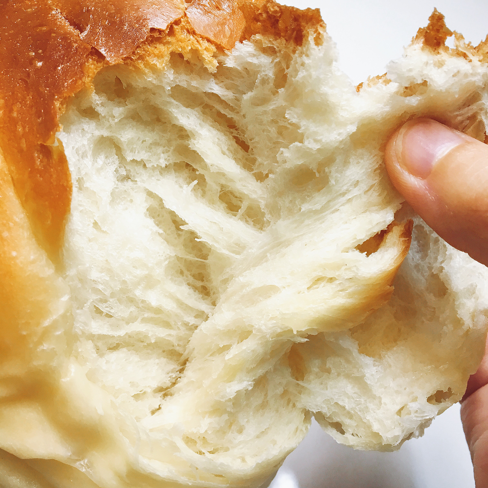 【爱和自由】老面包