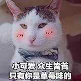Sukie做好吃的给你