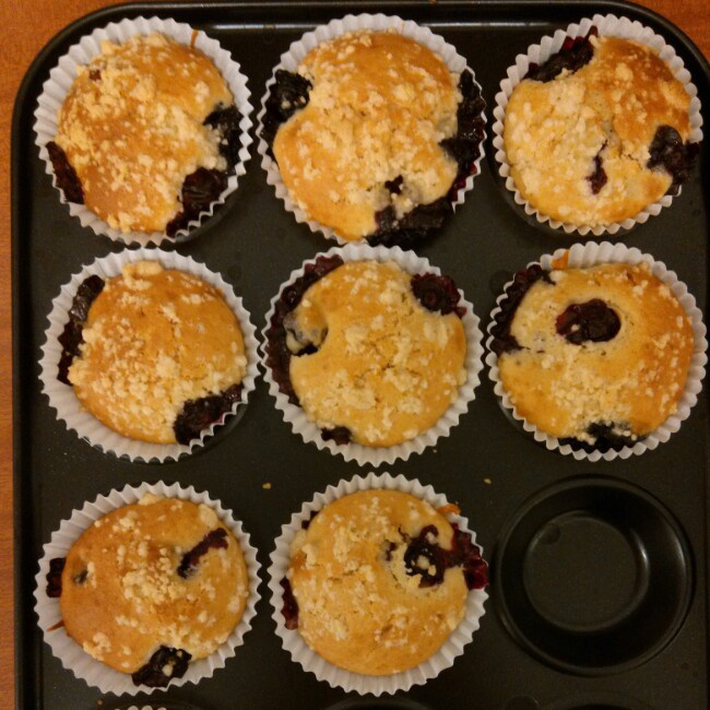 PH大师的蓝莓马芬