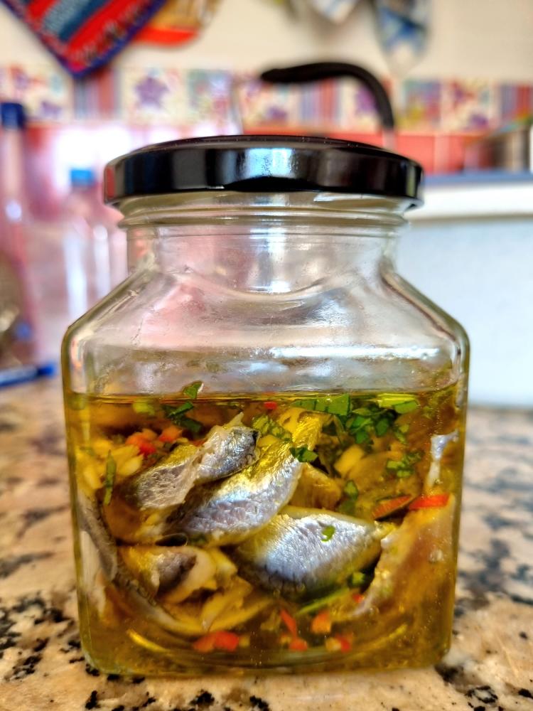 地中海油渍凤尾鱼（鳀鱼）意大利式