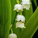 手机用户5852_7f5k