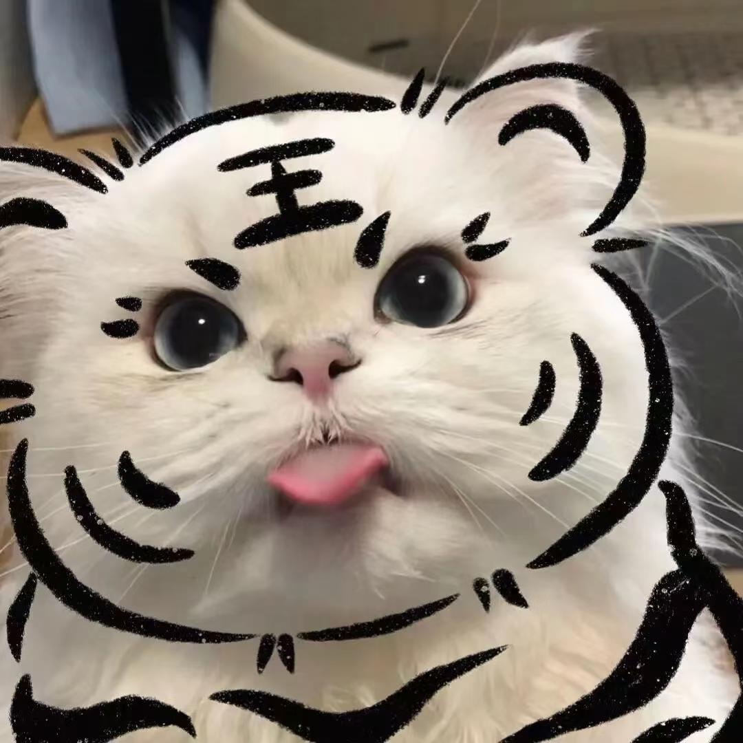 青橙哈