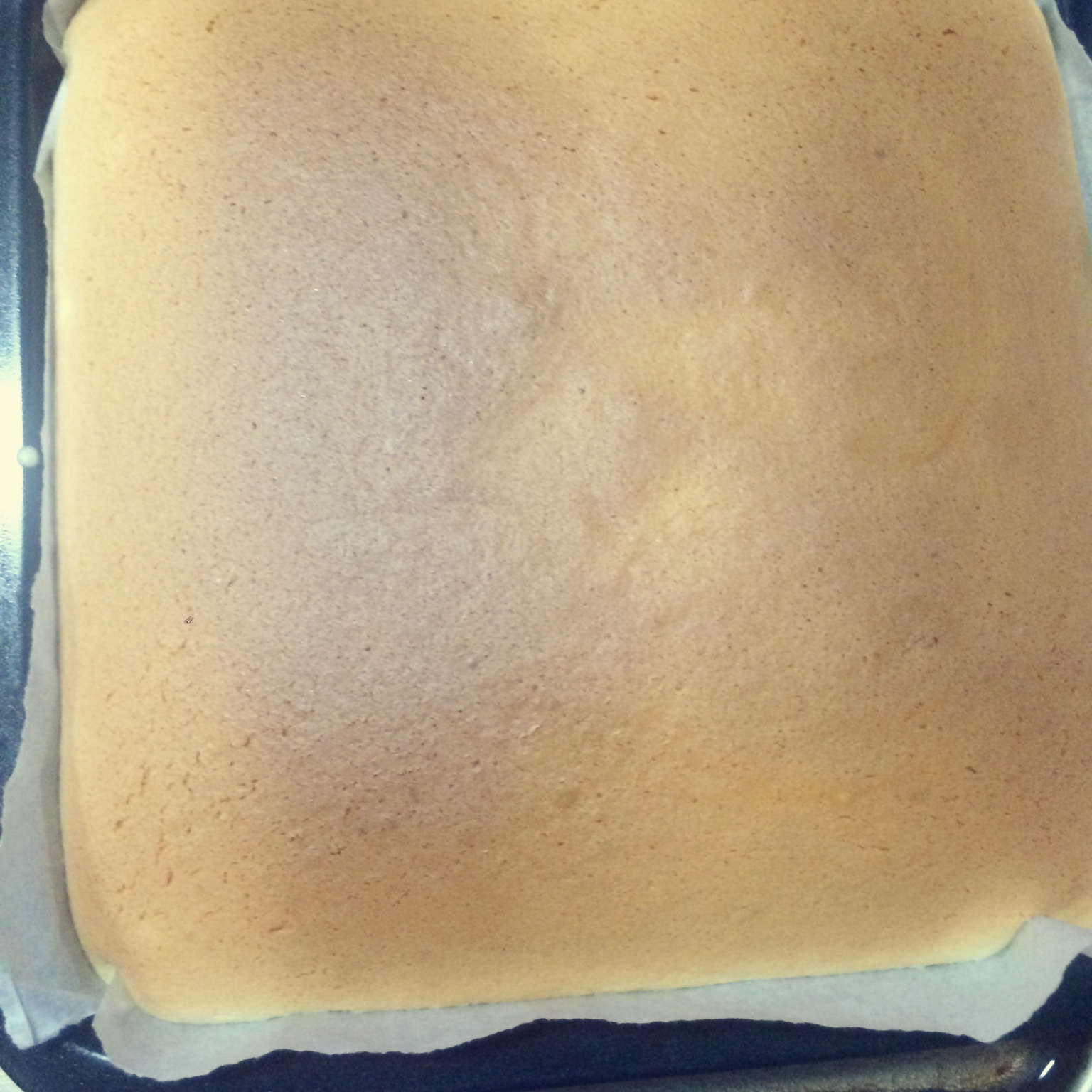 8寸芝士蛋糕(轻乳酪蛋糕)