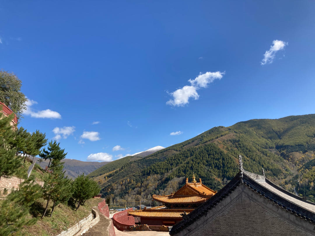 多放奶的奶茶