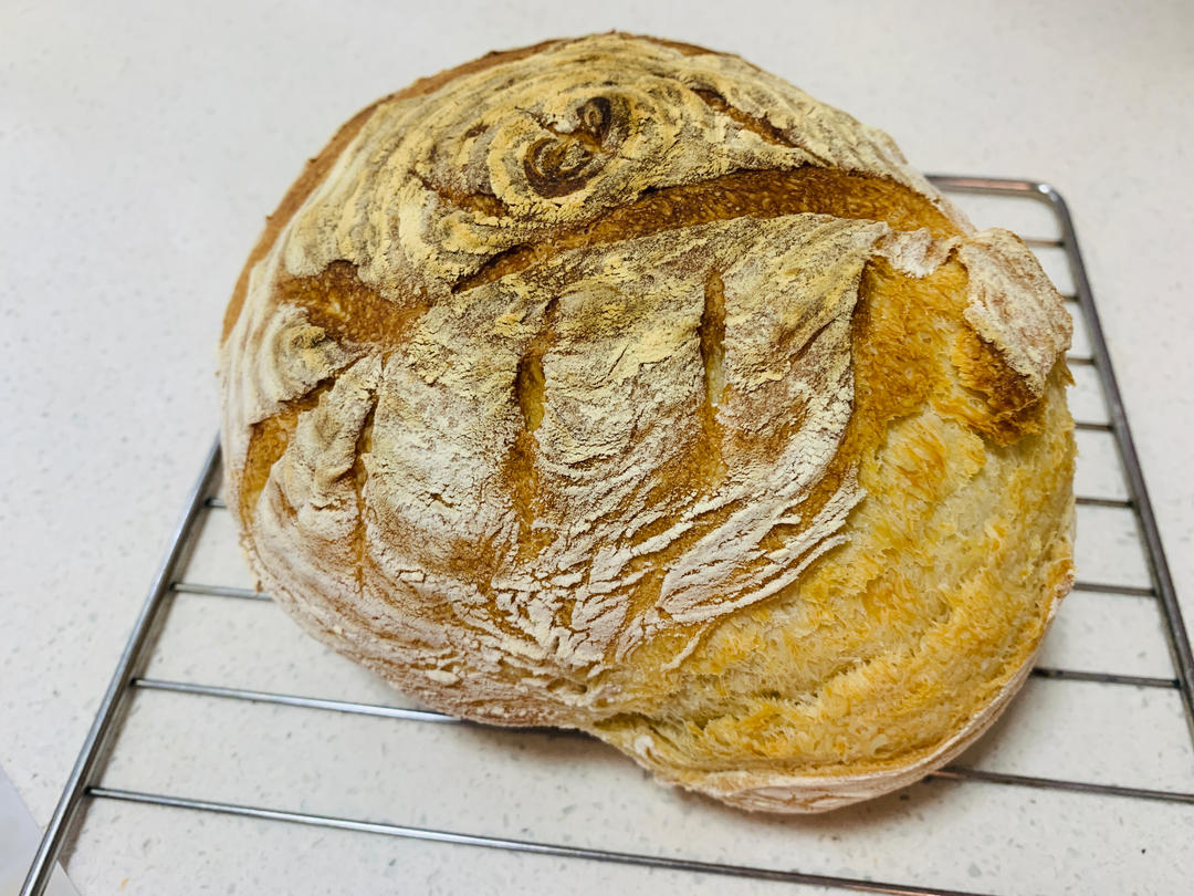 3.5小时快速直接法欧包丨免揉免机打免酵种