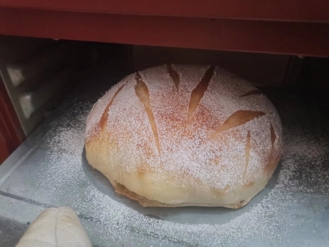 零失败、免揉面、好吃的核桃仁葡萄干欧包