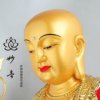王茂柏_sur6