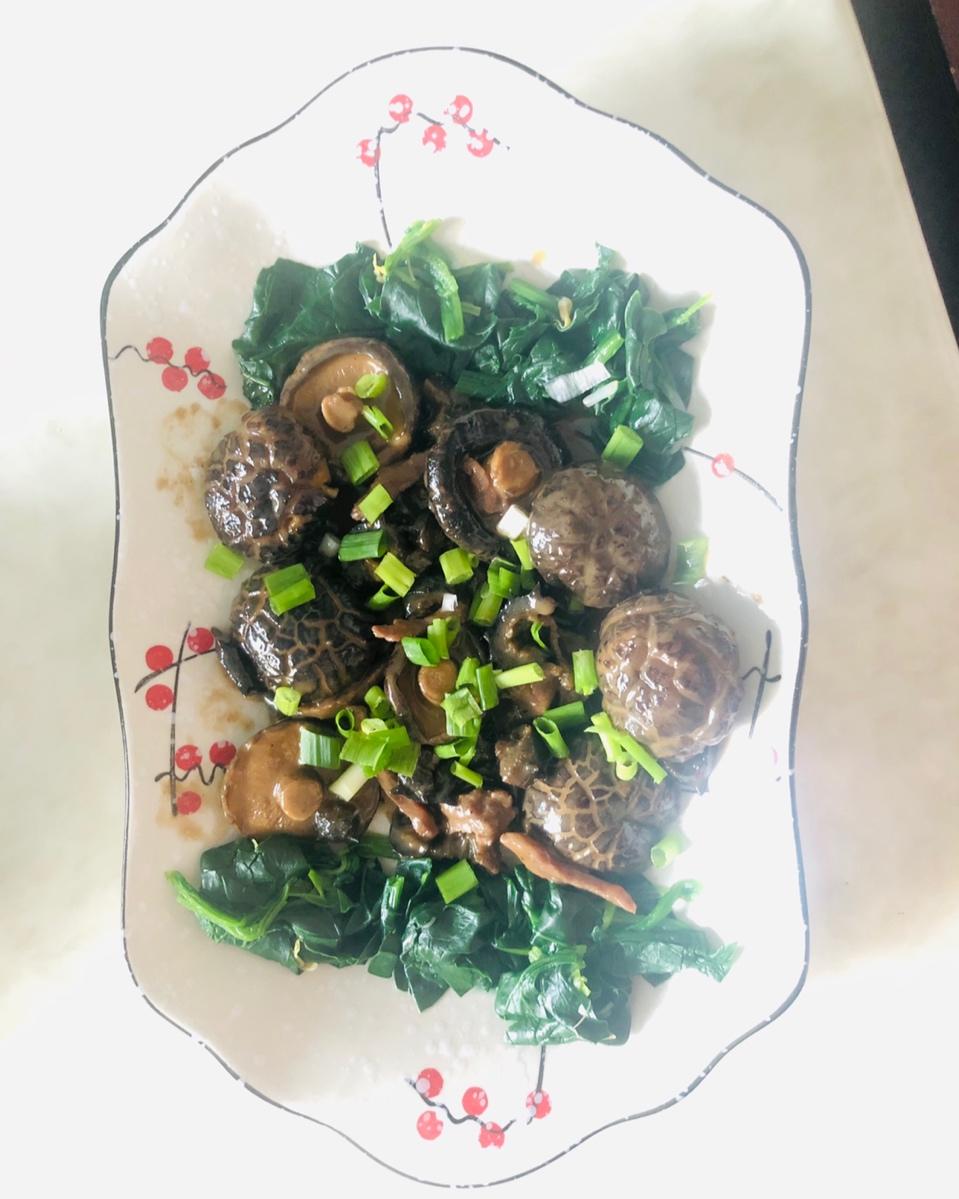 海参焖冬菇