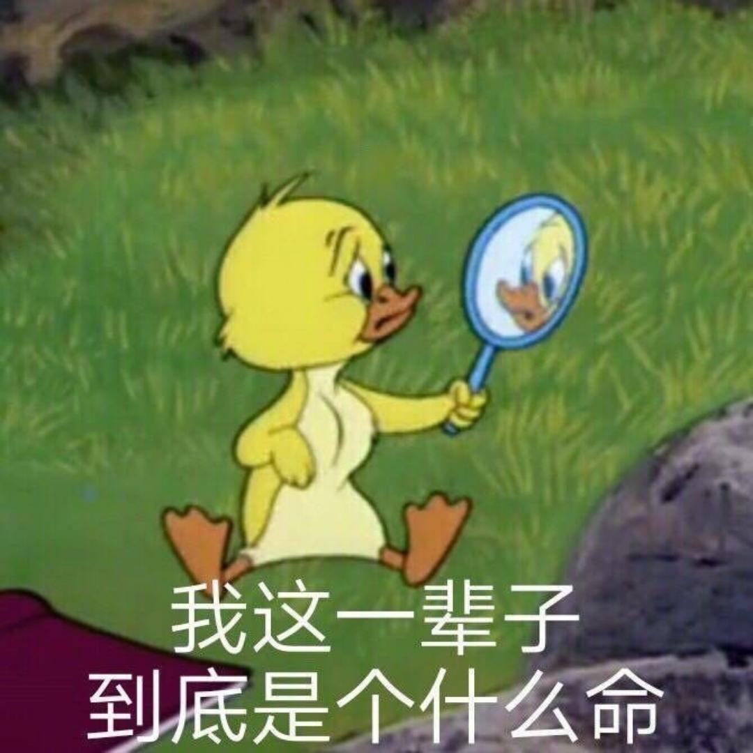 绿毛毛龟的厨房