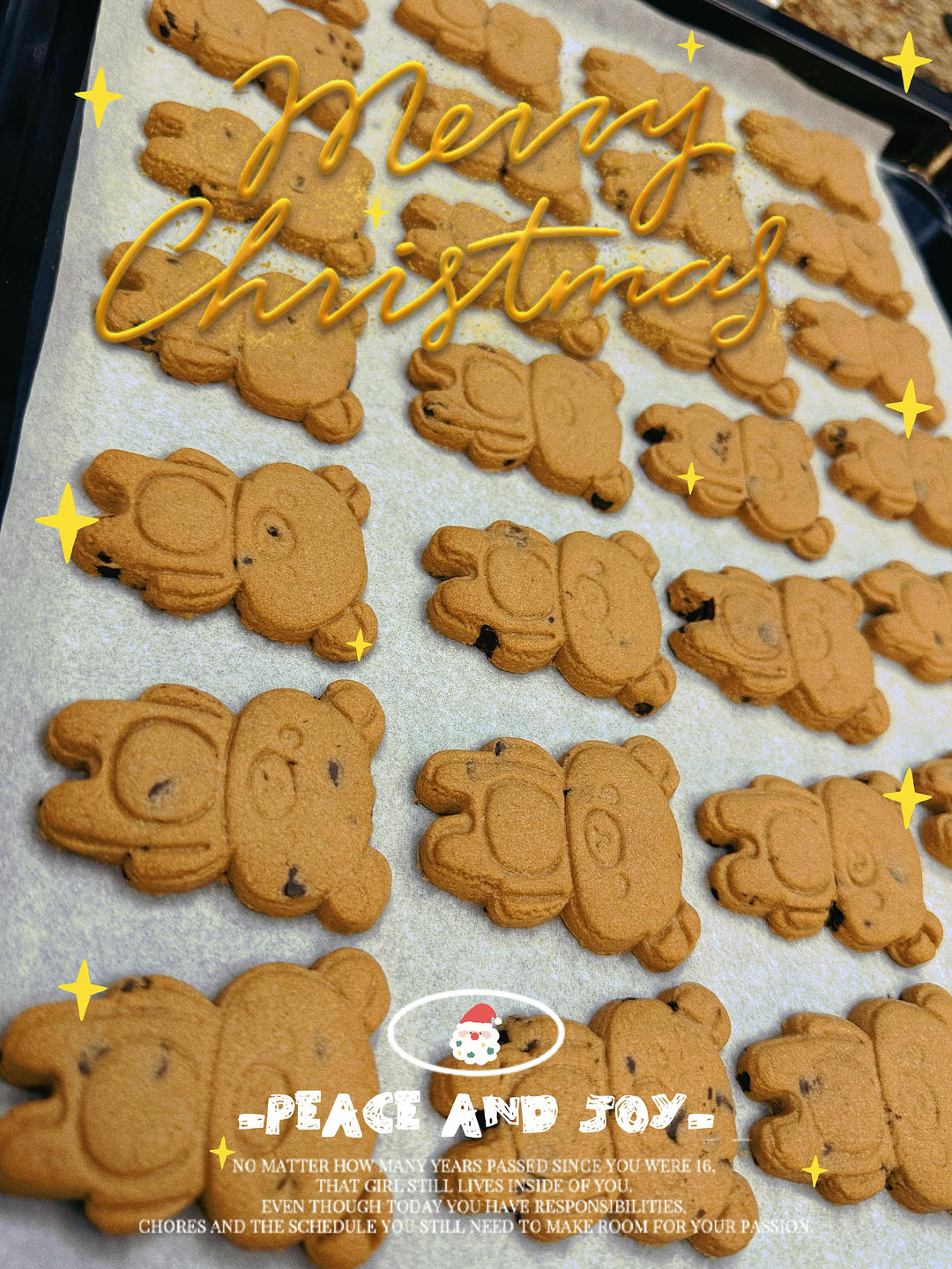 🍪巧克力曲奇｜免打发❗️零失败一次成功❗️