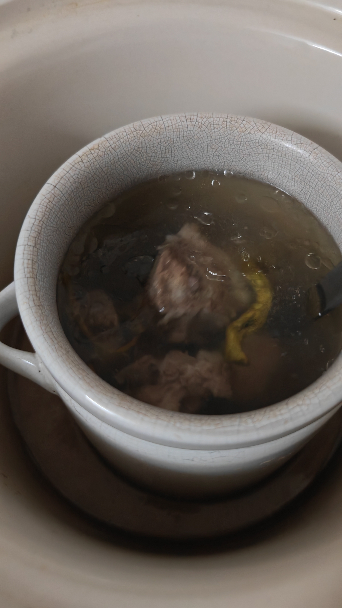 虎奶菌石斛排骨汤