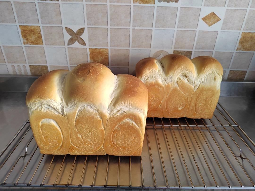 蜂蜜蛋黄软吐司🍞又香又软，爆发力超强