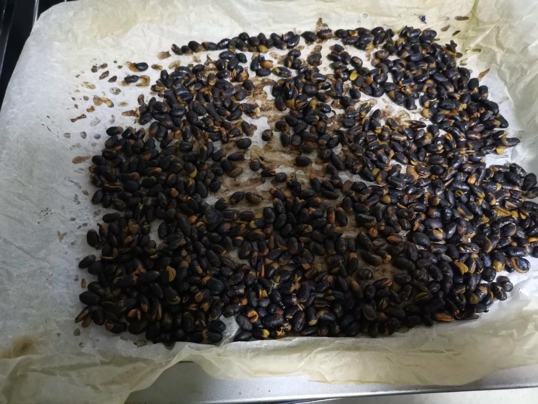 烤黑豆|柏翠K55烤箱版|健康零食