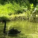 手機用戶7777_h80u