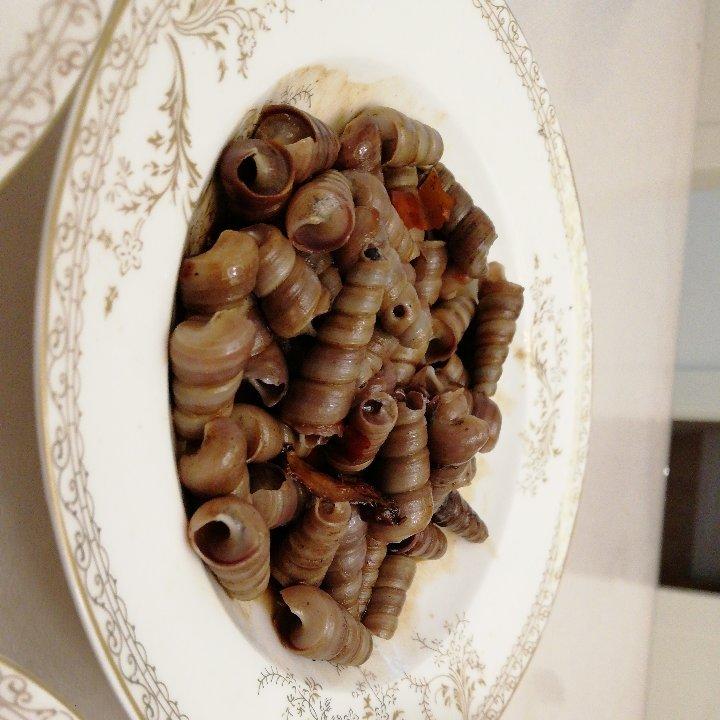 煲炒钉螺