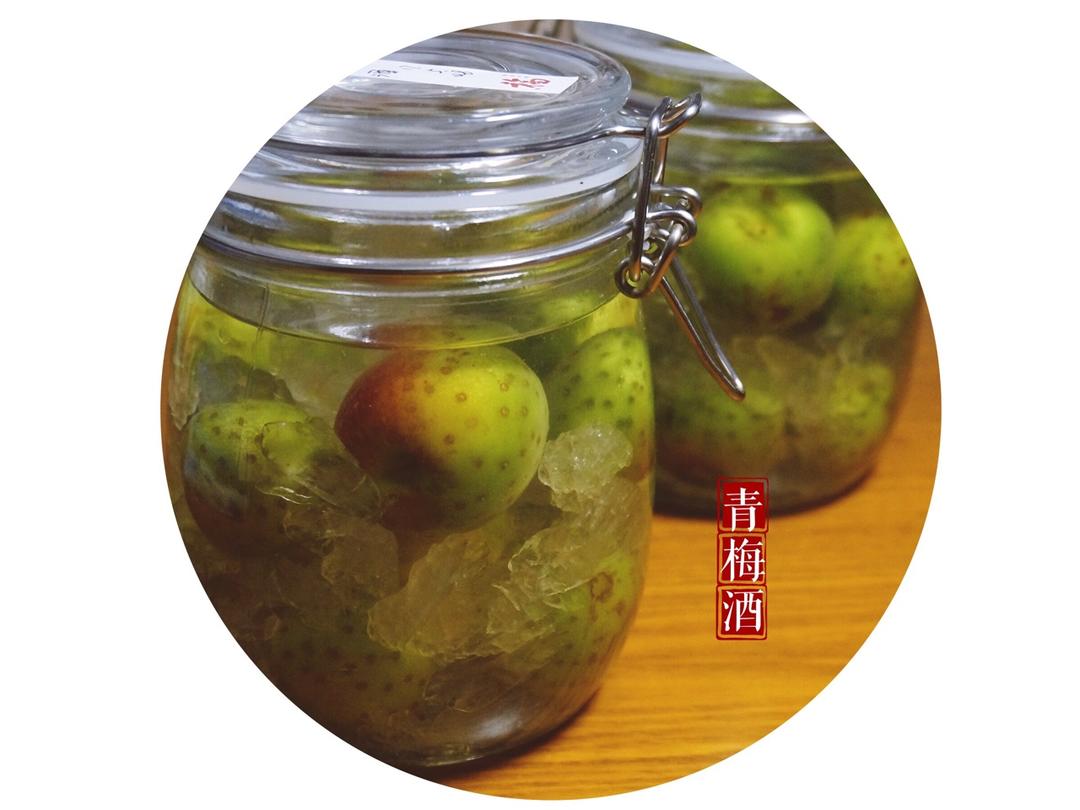 【青梅酒】梅子的沉醉时光（已填坑）