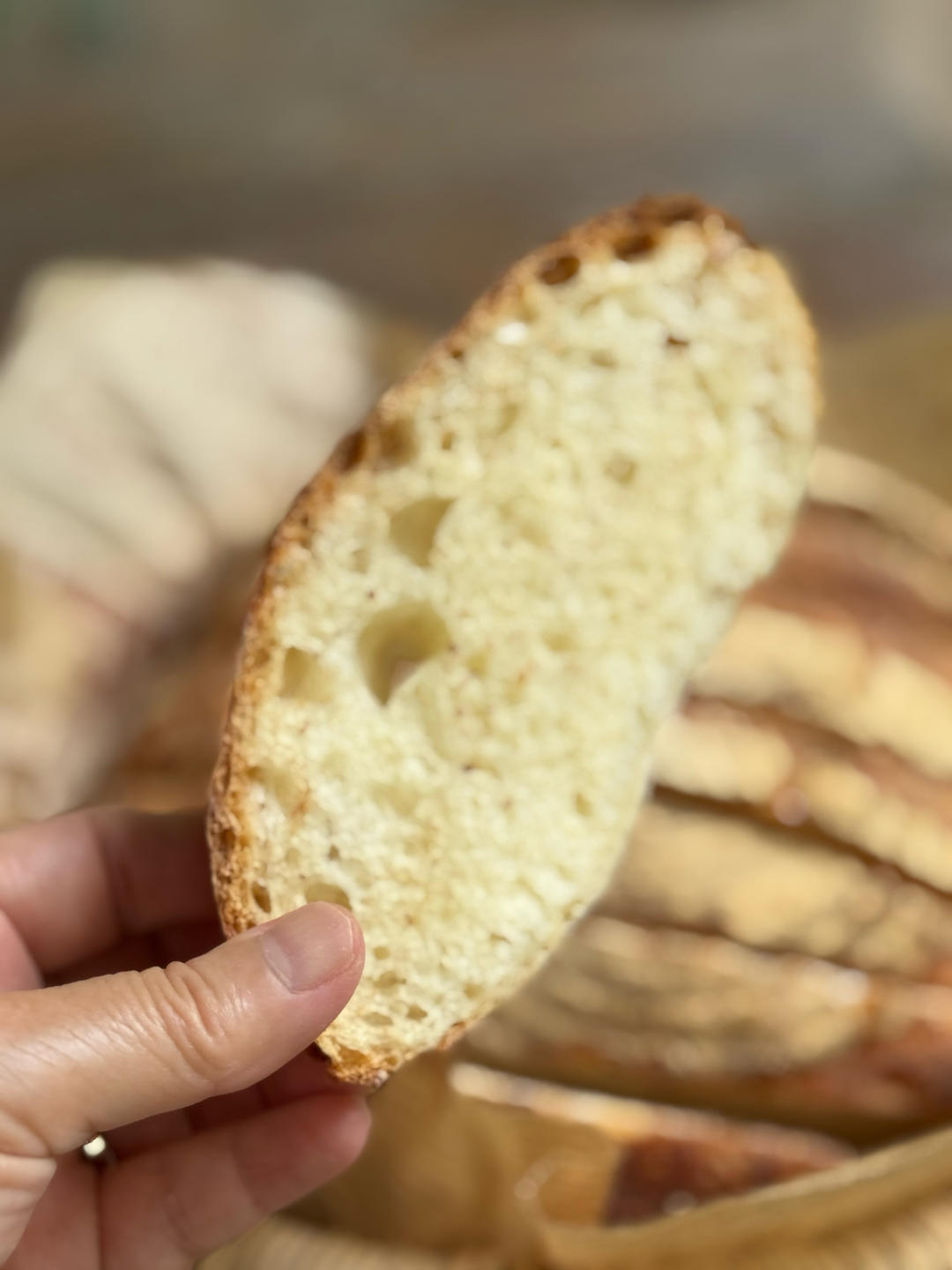 3.5小时快速直接法欧包丨免揉免机打免酵种