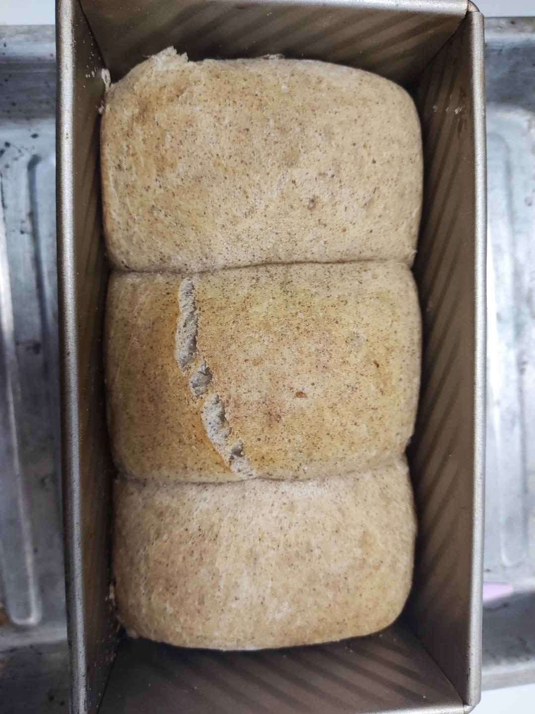 超详细步骤一发柔软全麦吐司（手揉版）