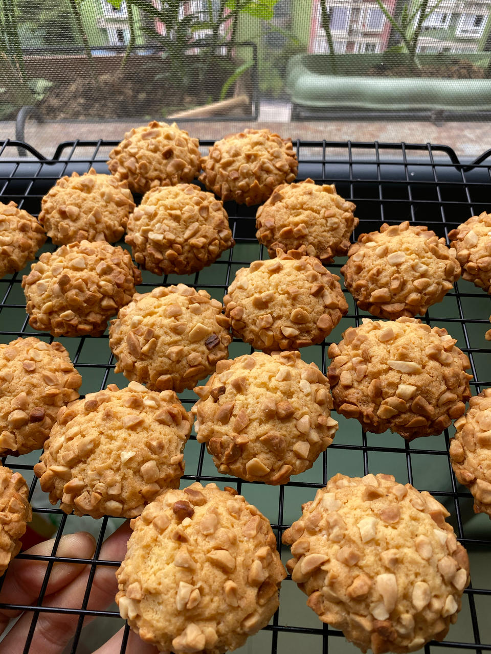 超级好吃的花生酥饼