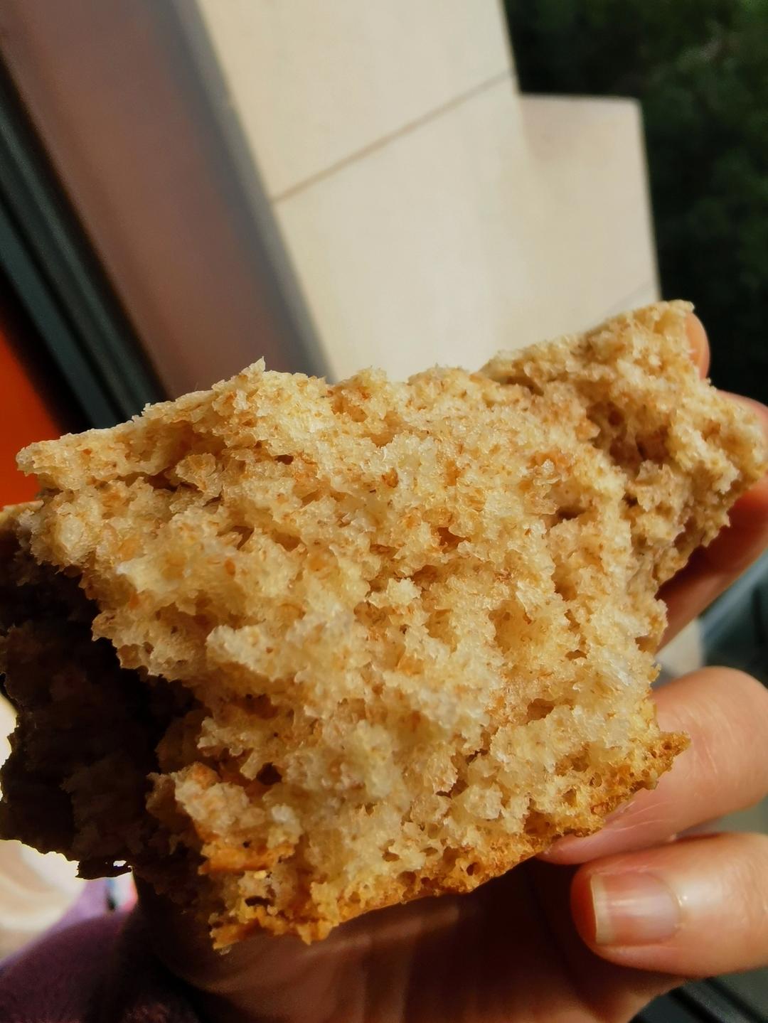 高水量全麦小餐包 小美7分钟揉面