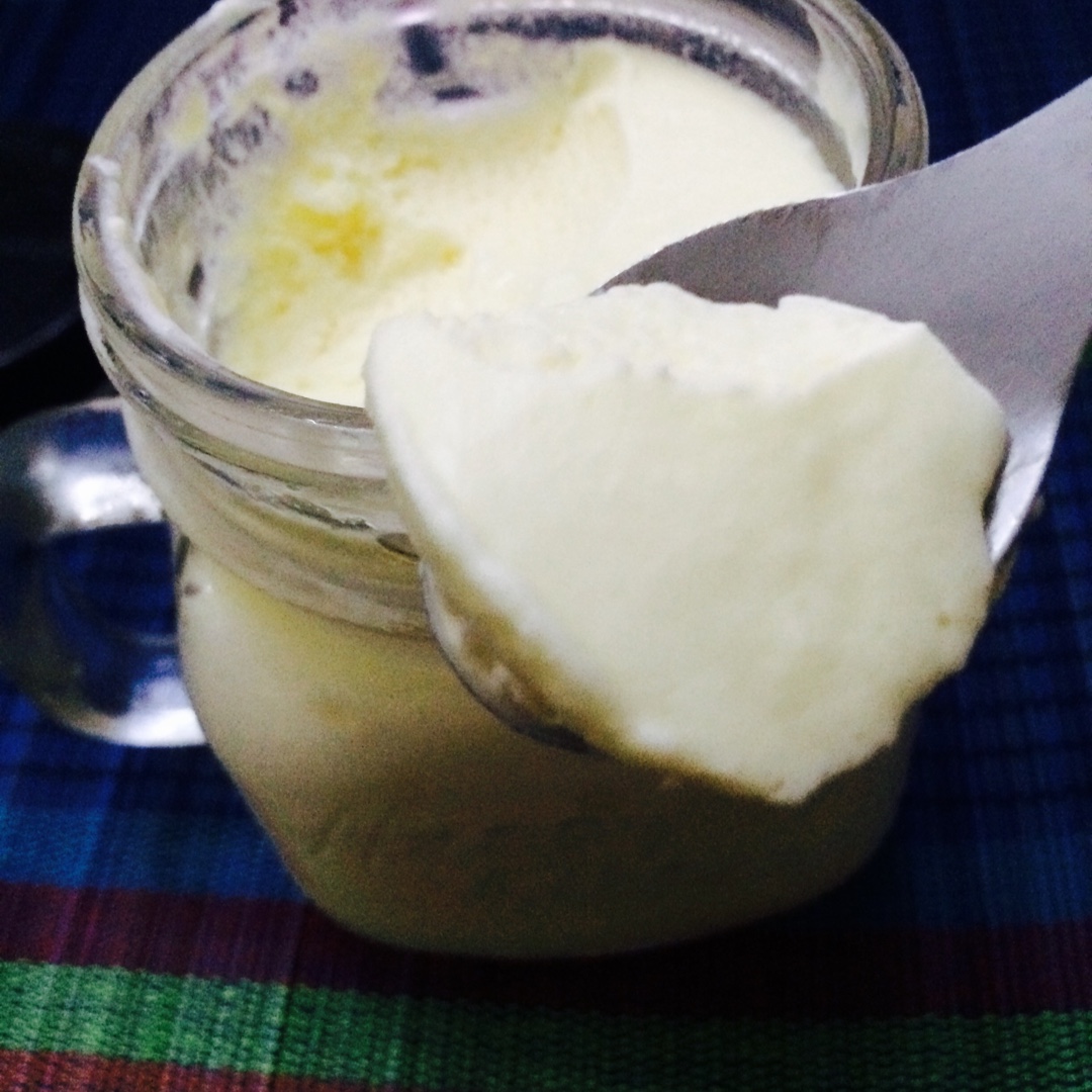 自制哈根达斯风味的冰淇淋