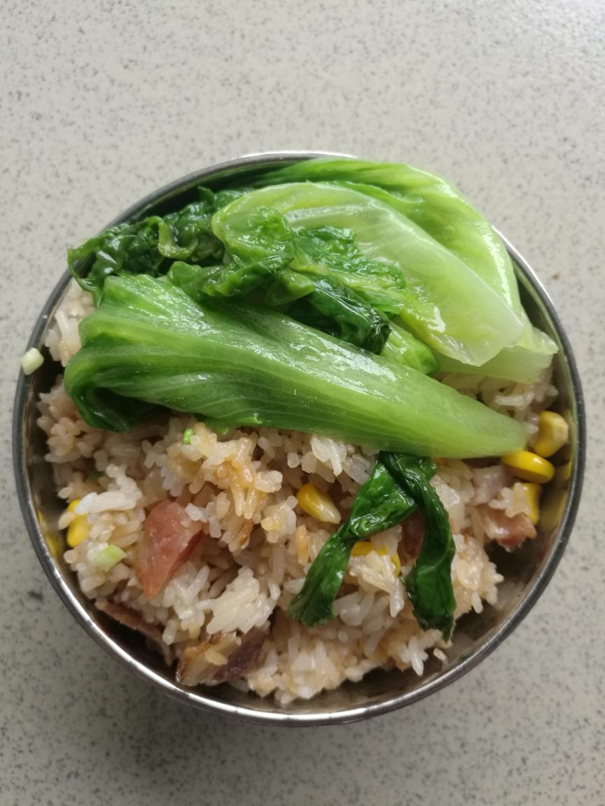 广式腊味饭电饭锅广式腊味饭相关分类电饭煲饭随便看看该菜谱创建于