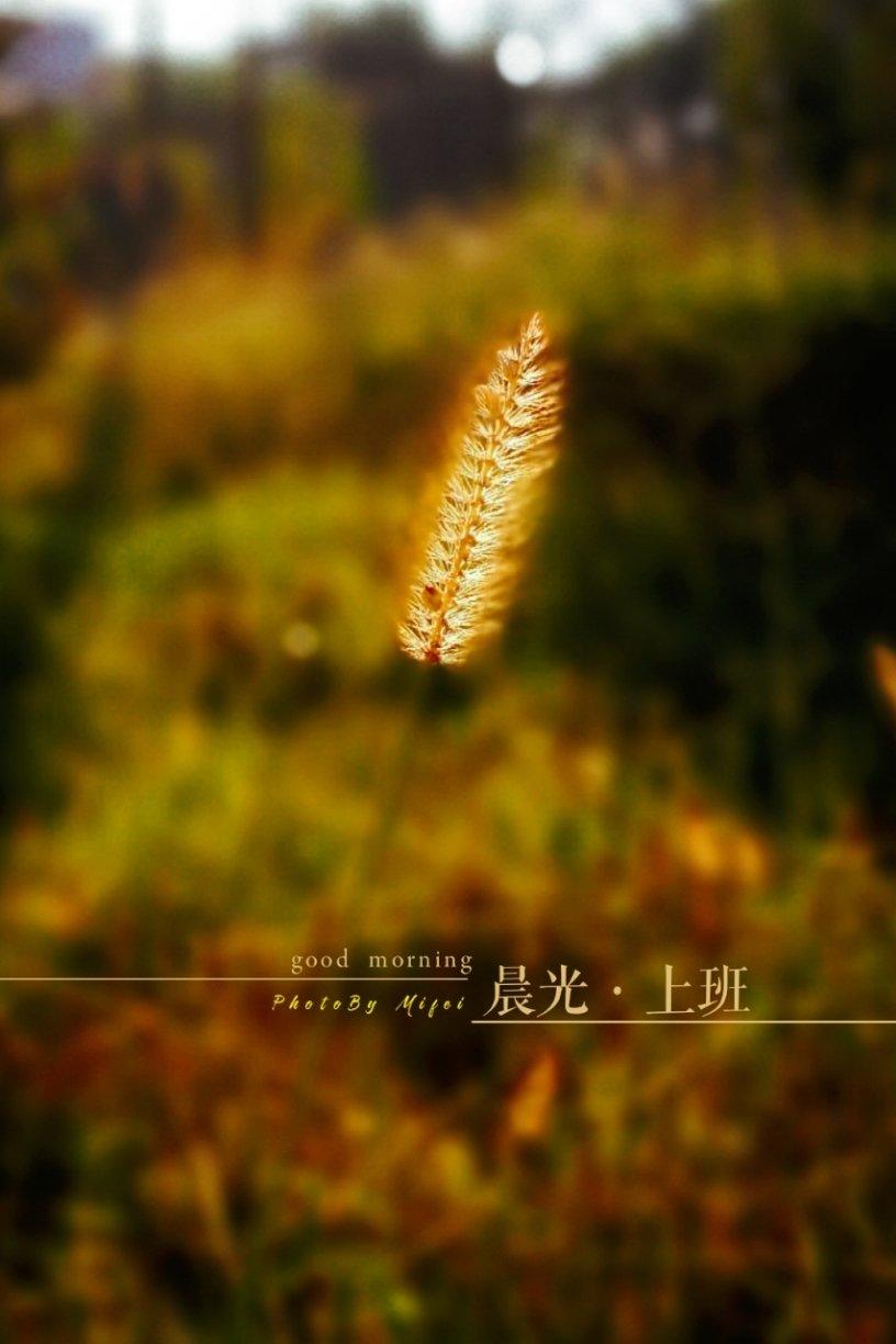 给生活上点色