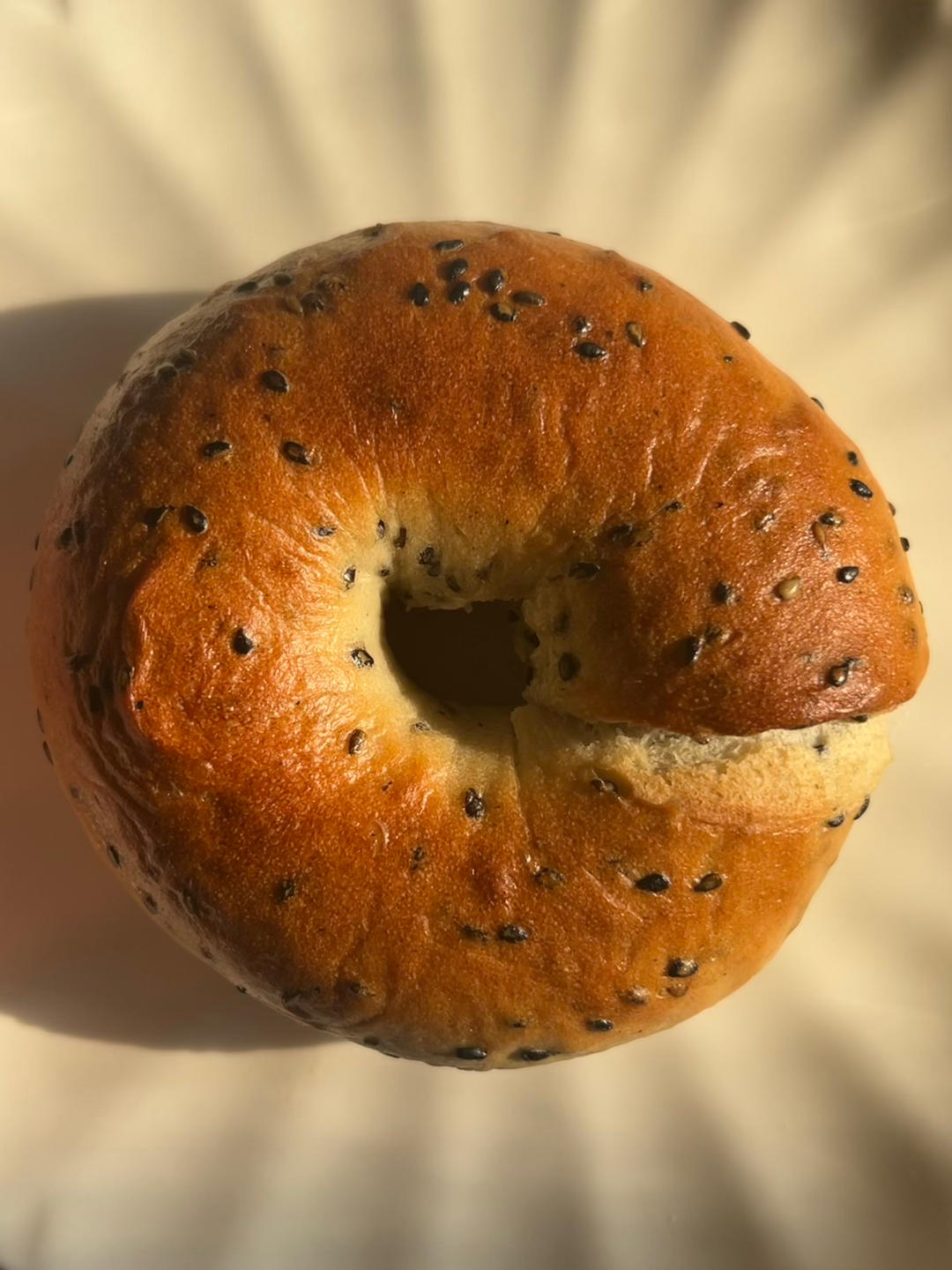 咸口奶酪贝果🥯