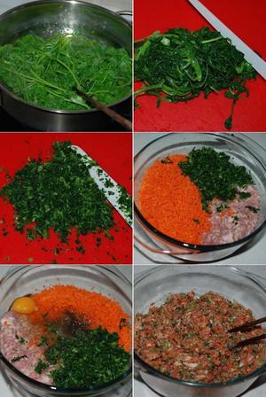 胡萝卜香菜肉饺子/馄饨的做法 步骤2
