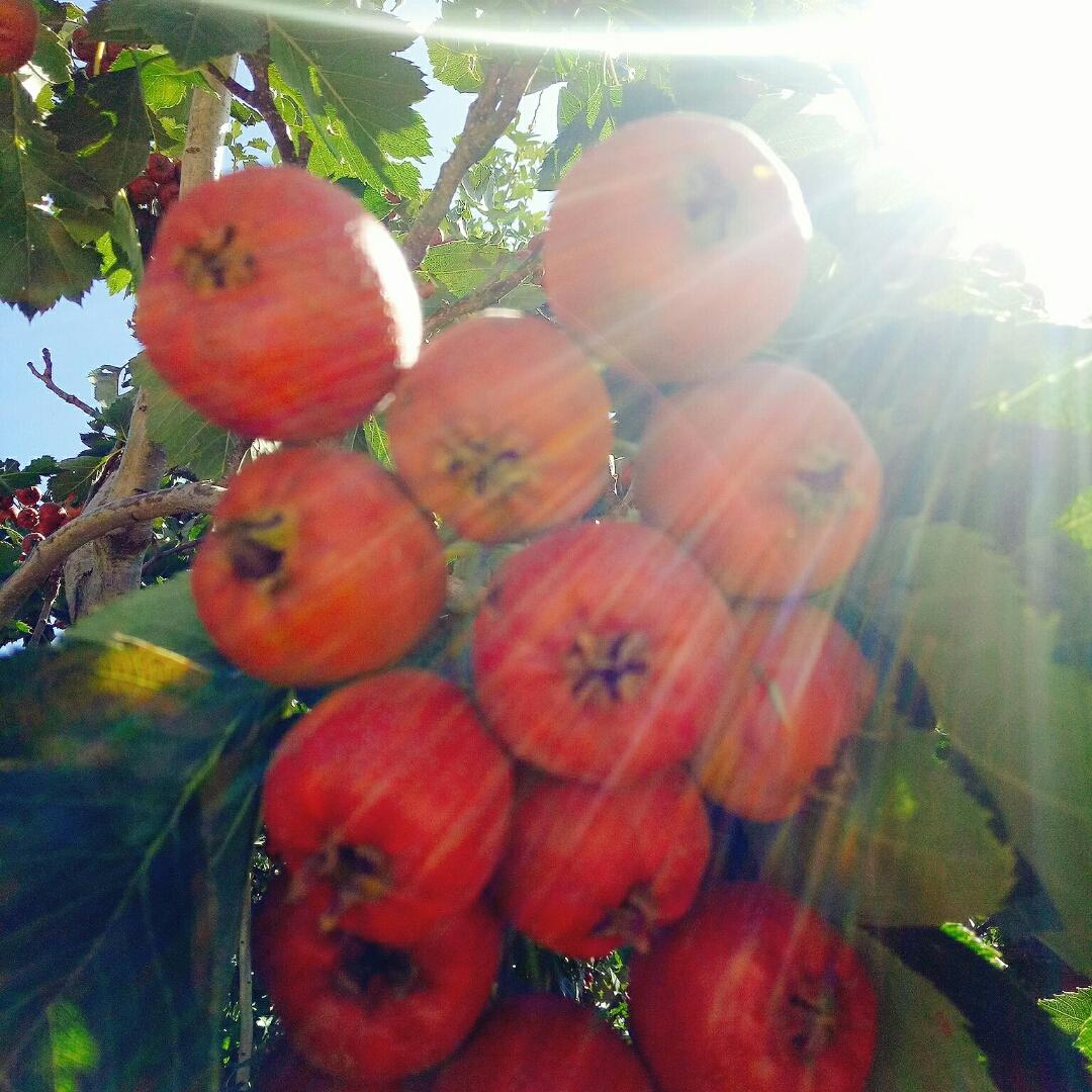 城里的月光_kqs2