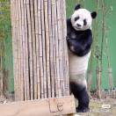 我是周左
