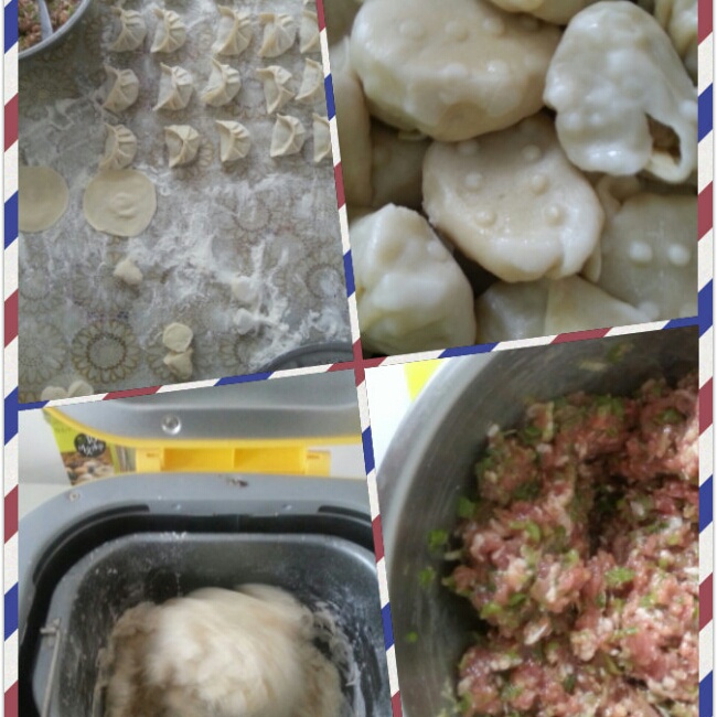 面包机版～猪肉芹菜馅蒸饺