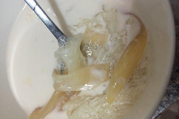 花胶鲜奶炖燕窝汤的做法