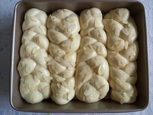 一次发酵辫子面包的做法 步骤5