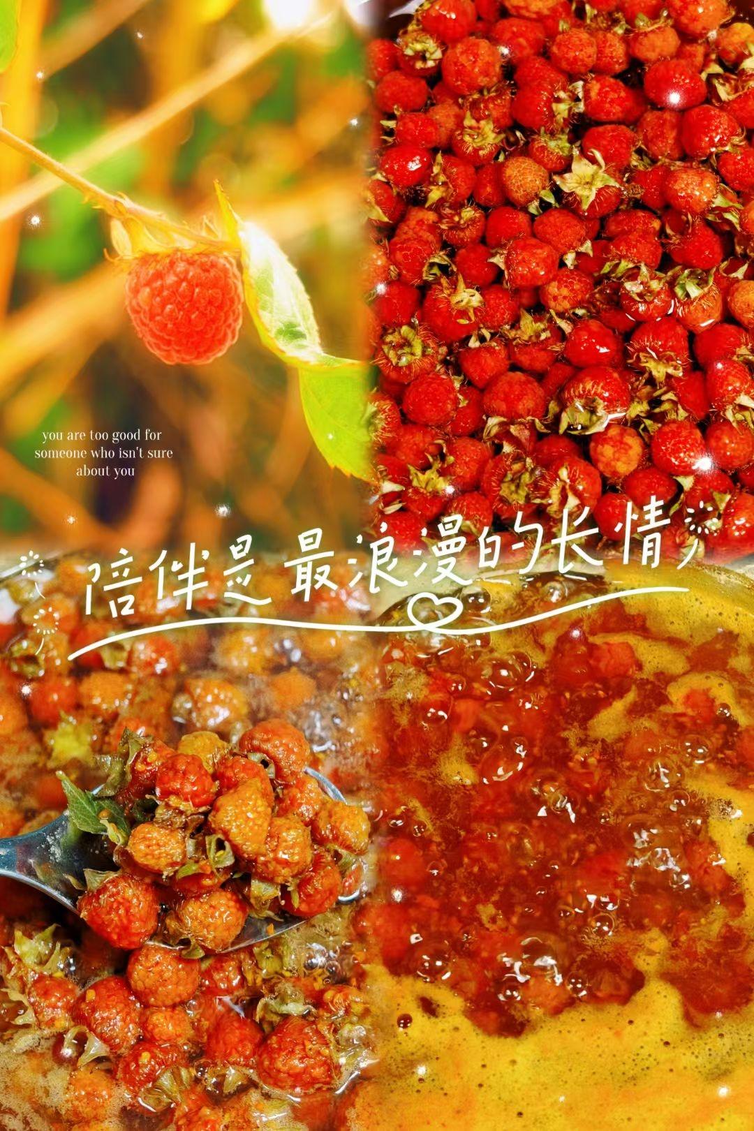 树莓酱(小白版本)