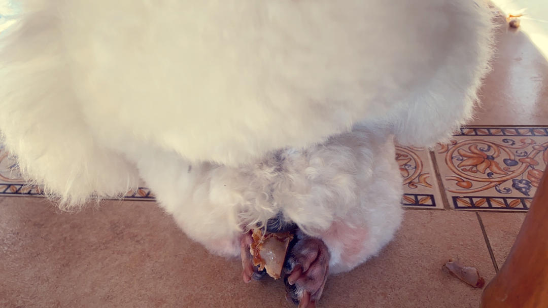 吃哟哟不吃呦呦