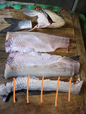 家庭版水煮鱼的做法 步骤3