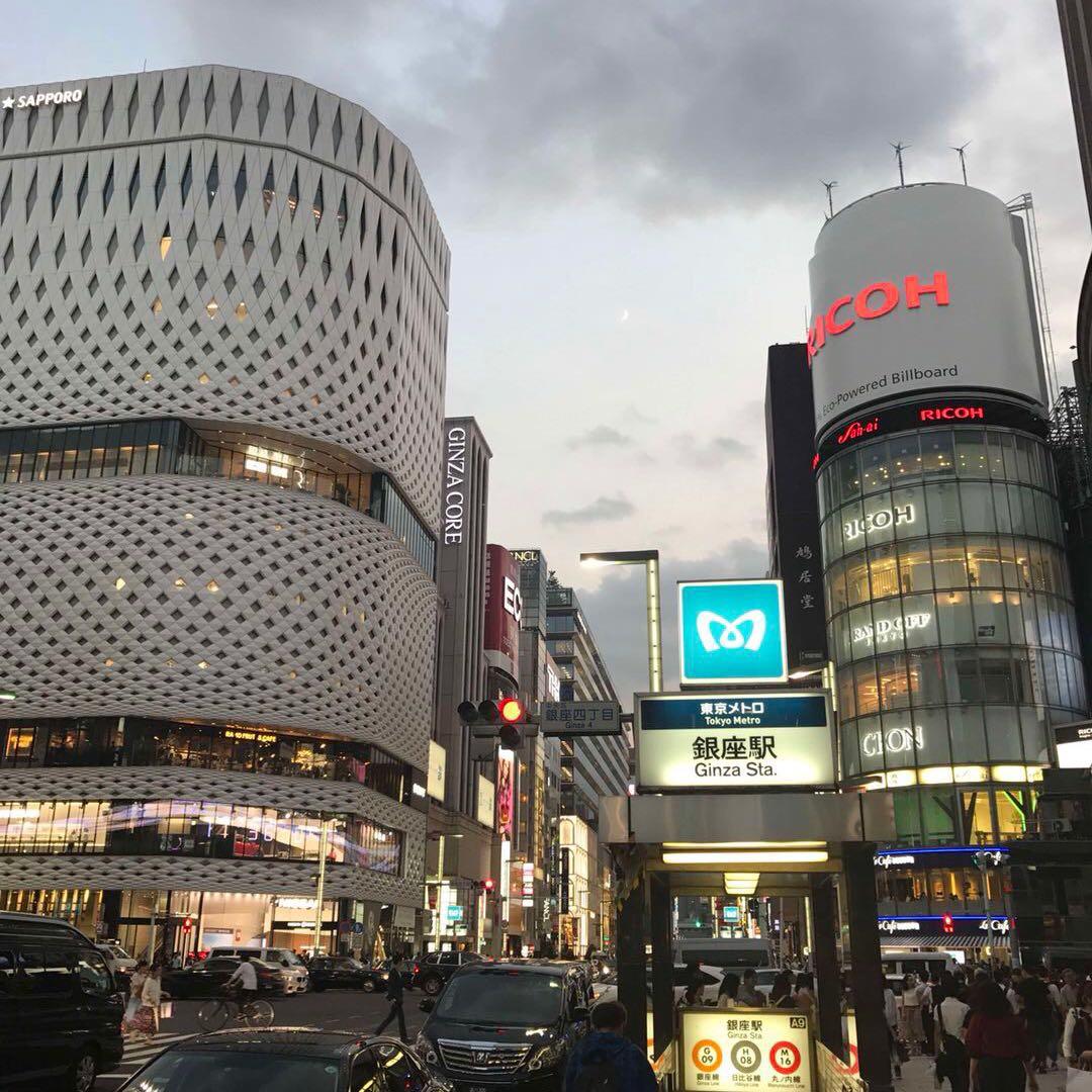 杨臻正